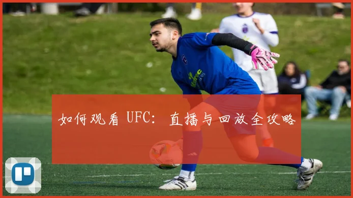 如何观看 UFC:直播与回放全攻略