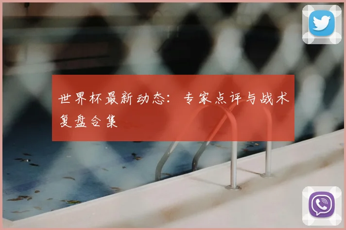 世界杯最新动态:专家点评与战术复盘合集