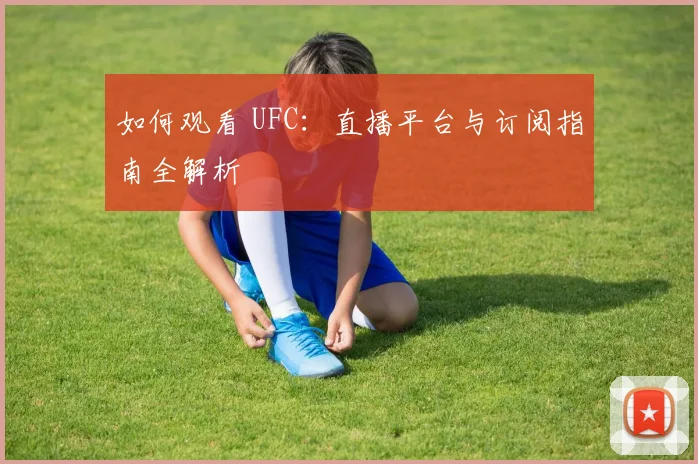 如何观看 UFC:直播平台与订阅指南全解析