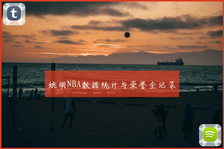 姚明NBA数据统计与荣誉全记录
