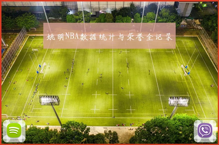 姚明NBA数据统计与荣誉全记录